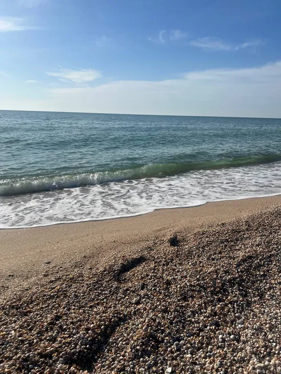 Комфортабельный номер с видом на море