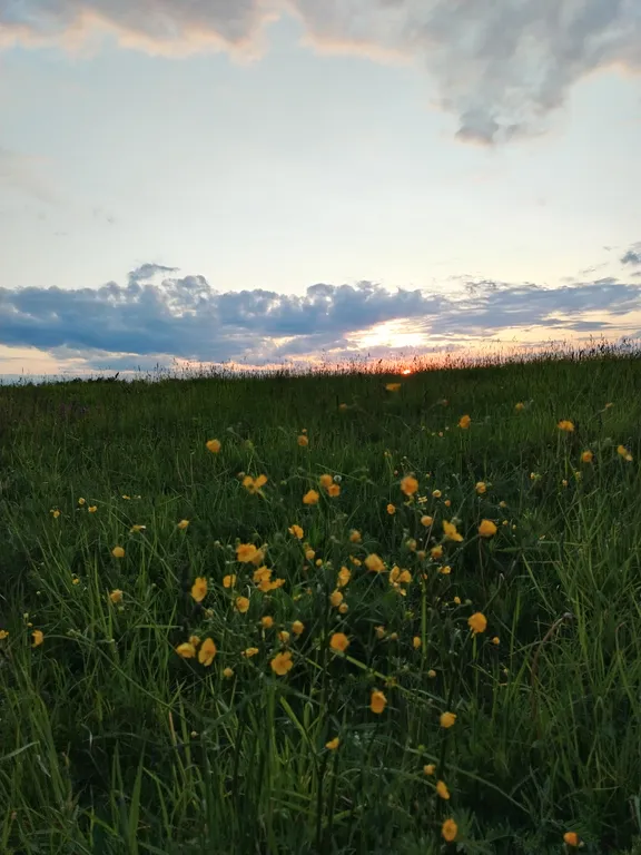 Уединенная часть дома с садом и барбекю