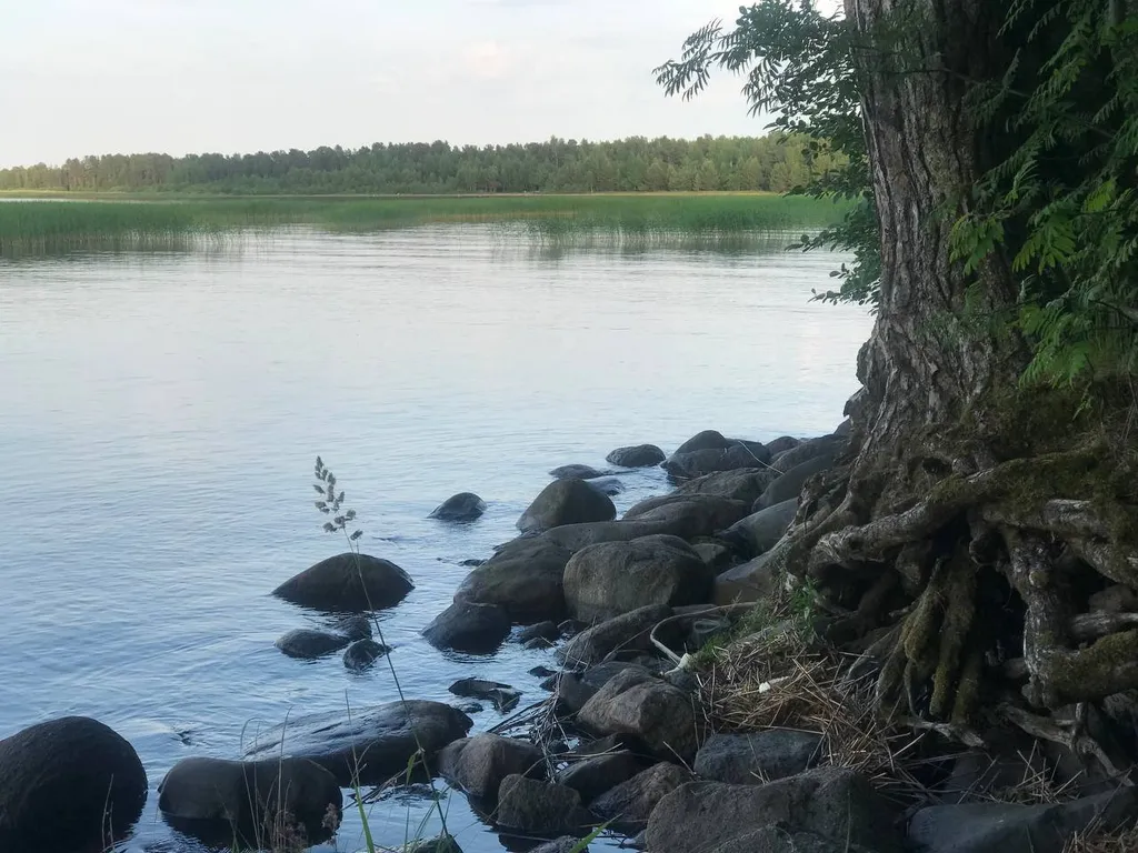 Домик в Карелии