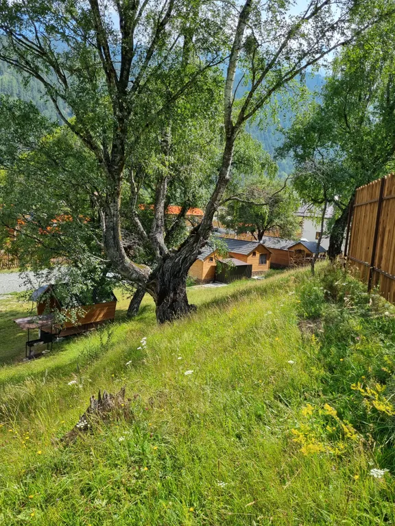 Уютный коттедж в хвойном лесу