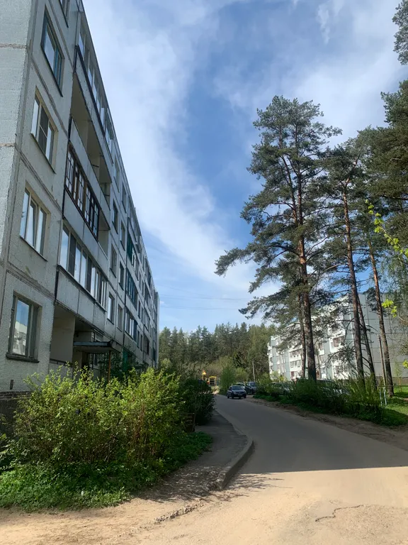 Квартира сосны