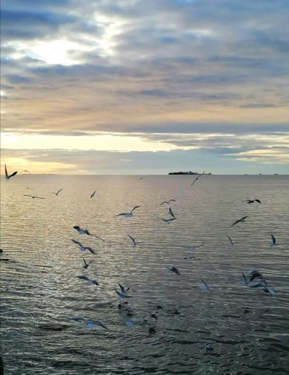 Квартира Квартира у Финского залива в новом доме — Санкт-Петербург