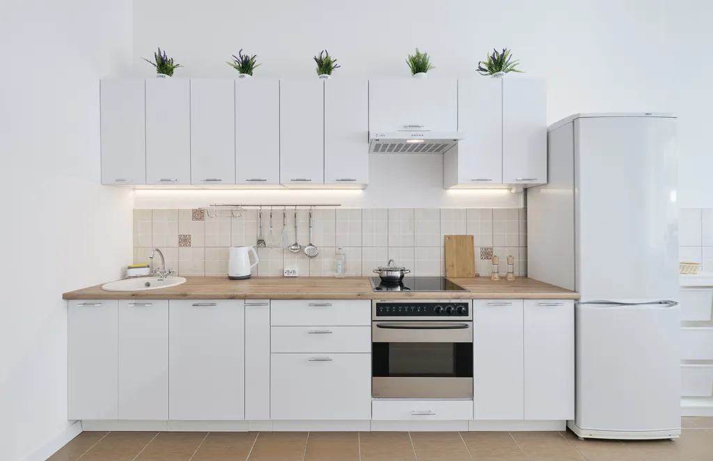 Квартира Просторная светлая квартира на Австрийской площади — Санкт-Петербург