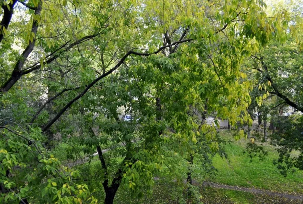 Апартамент фьюжн