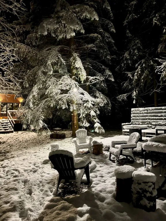 Дом в елях с финской сауной