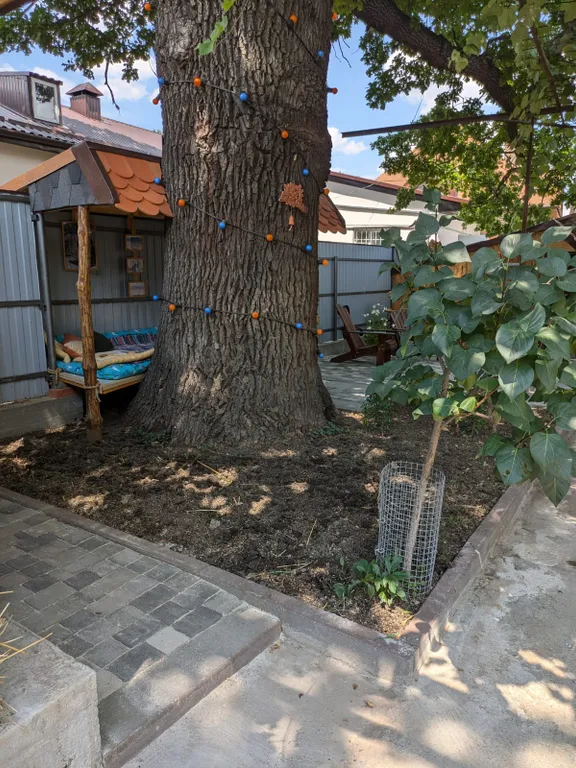 Под сенью дуба