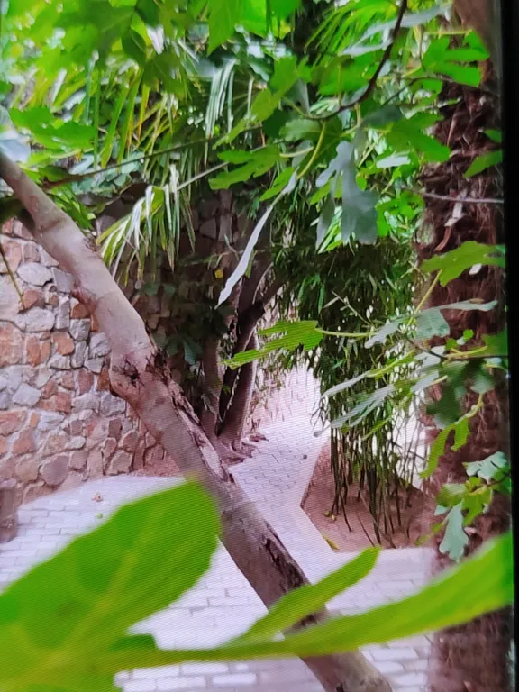 Коттедж Уютный Домик в центре города. — Ялта