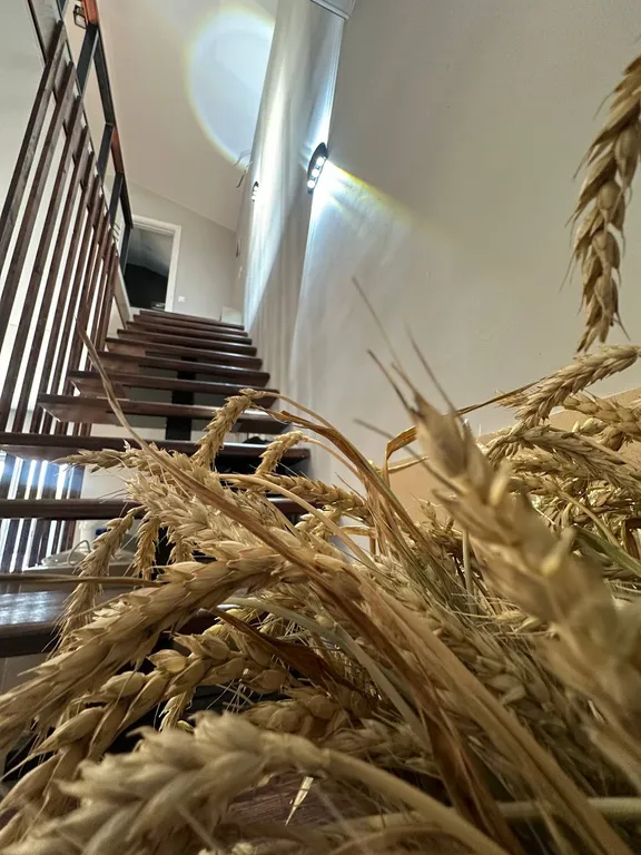 Коттедж Уютный дом отдыха ДвижВилладж с баней и видом на реку — Новотитаровская