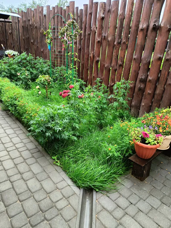 Гостевой домик баня Фроловых в Суздале