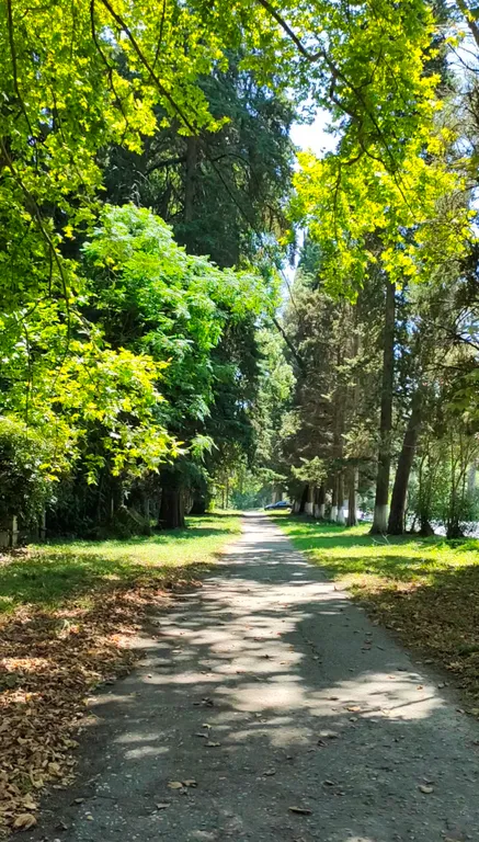 Квартира Квартира Mokko Apartment — Сухум