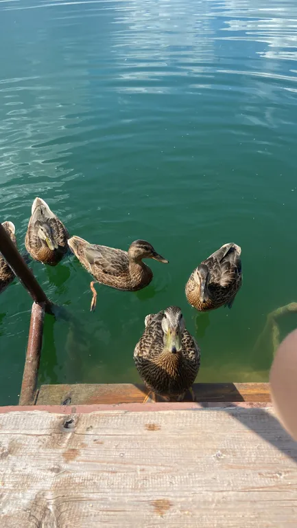 Шикарный коттедж 120 м²