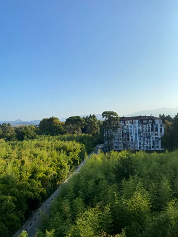 Квартира Апартаменты прям у моря — Сириус