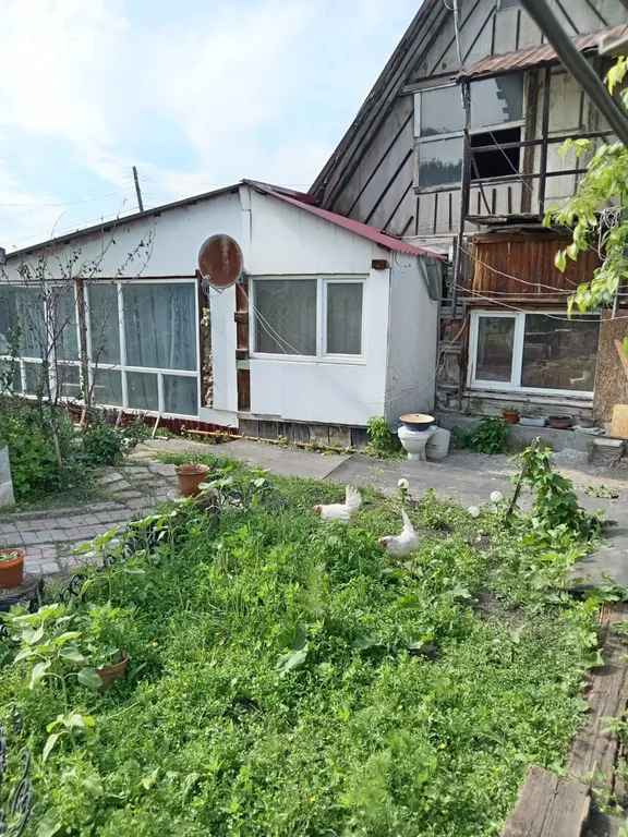 Отдых у Наташи