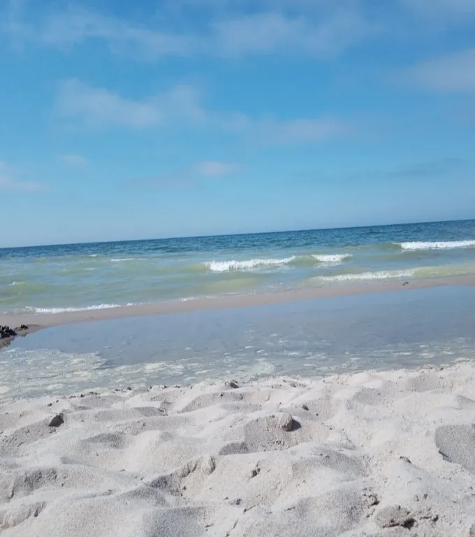 Квартира Квартира у моря — Пионерский