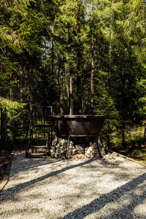 Вилла S/II с видом на вековой лес