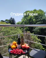 Студии в Парке