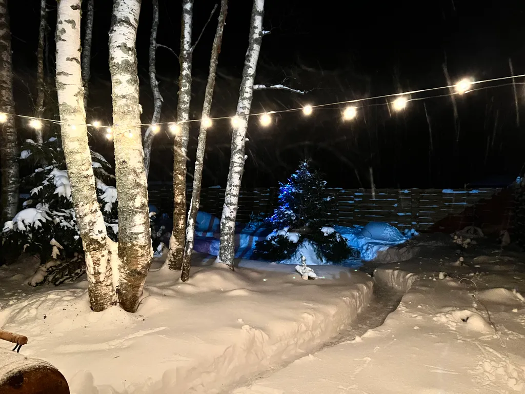 Семейный улей