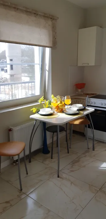 Просторная квартира с видом на лес