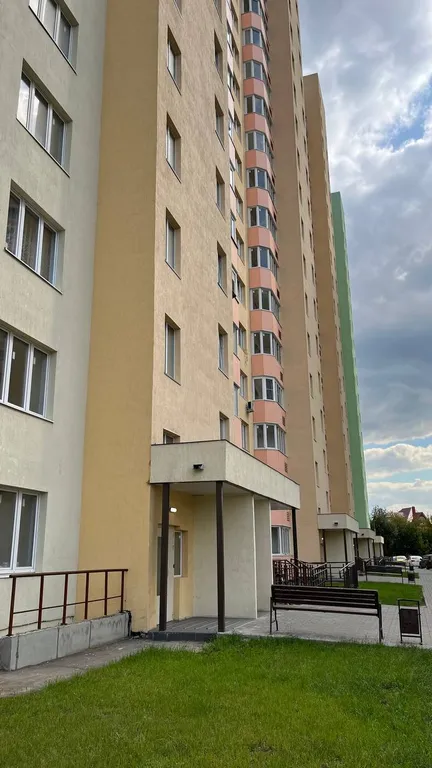 Студия с видом на лес