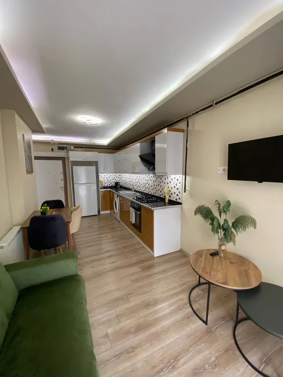 Видовая 1+1 прямо у Соли