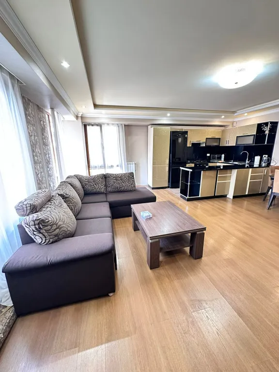 Трёхкомнатная просторная светлая квартира в самом центре города — аренда посуточно в Ереван