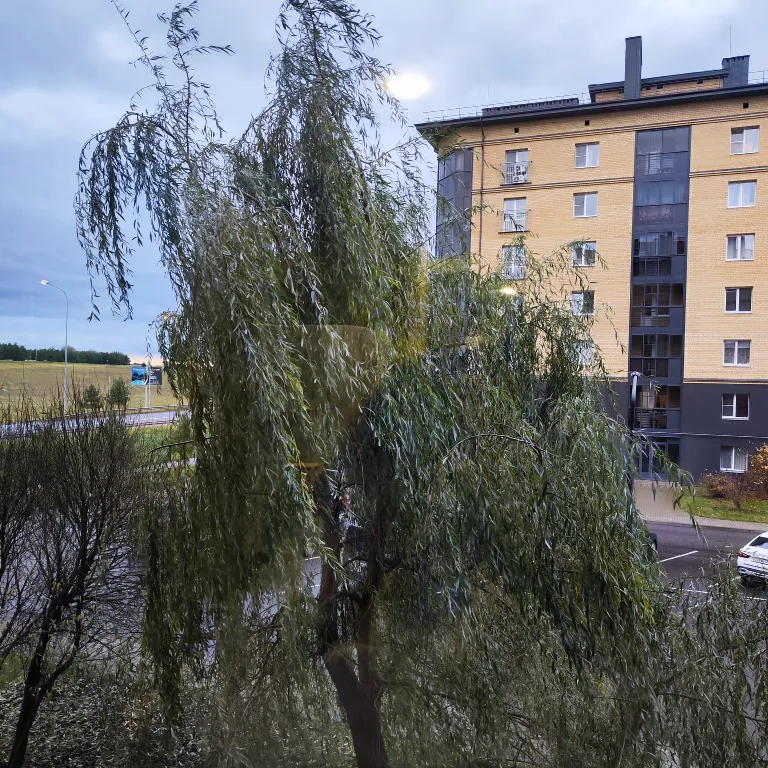 Трешка в Завидово для большой компании