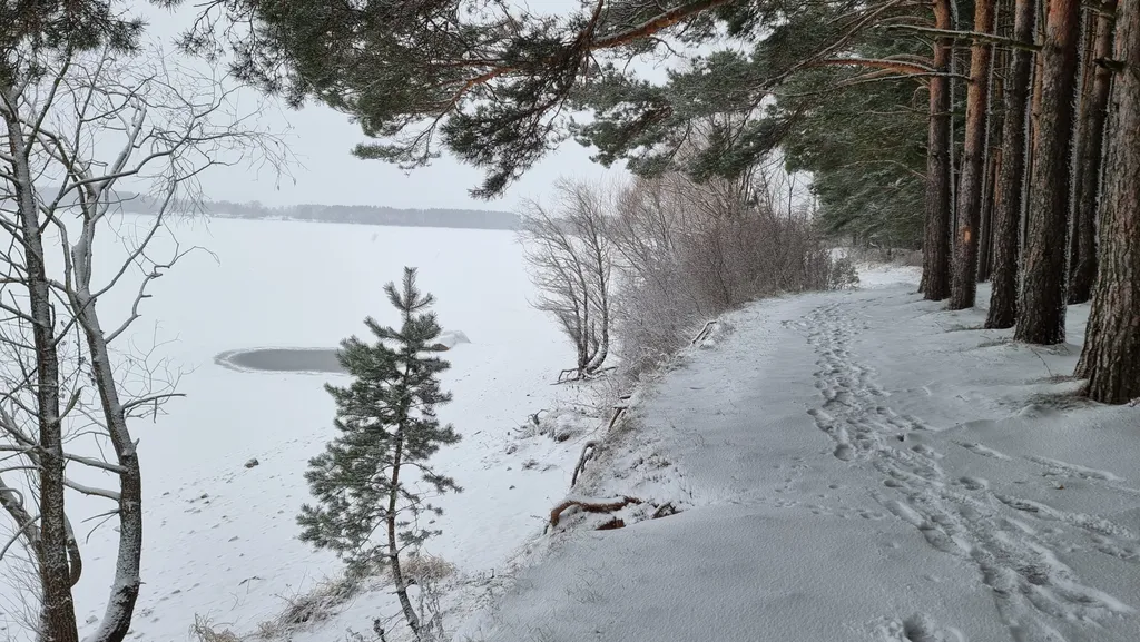 Коттедж Стильный барнхаус с горячей купелью фурако с видом на воду — Можайск
