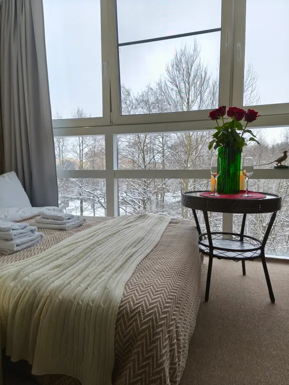 Квартира Апартаменты с видом на парк в ЖК Bereg Курортный — аренда посуточно в Сестрорецк