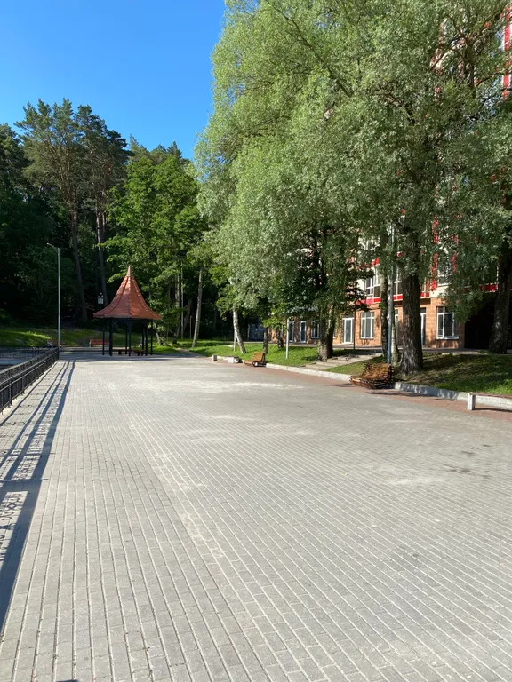 Квартира 1-комнатная квартира на Тихом озере — Светлогорск