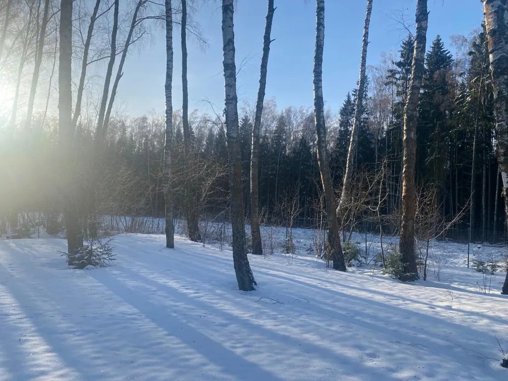 Уютный домик в лесу у пруда