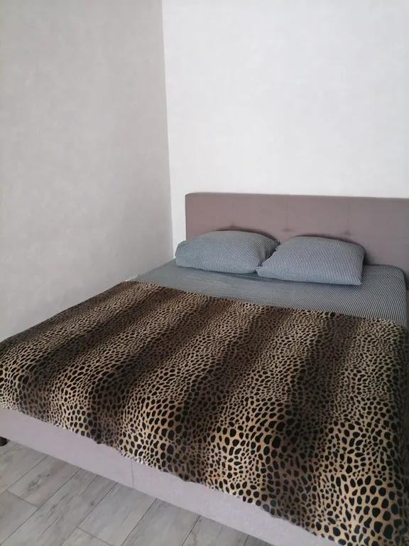 Уютная квартира - студия недалеко от Ледового дворца