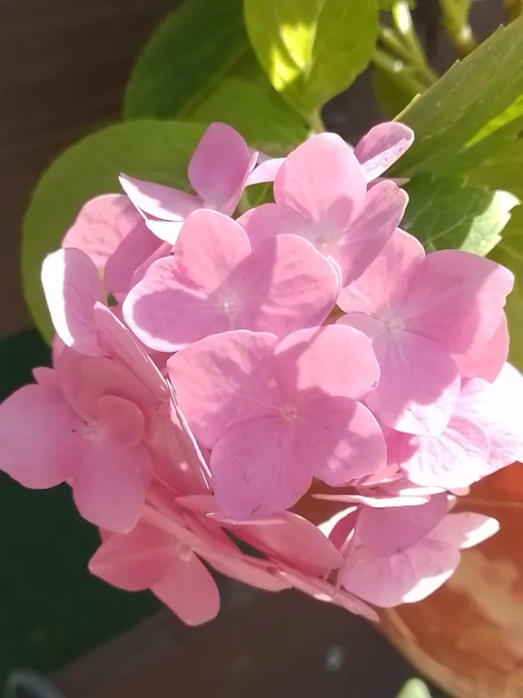 Апартамент в уютном частном секторе