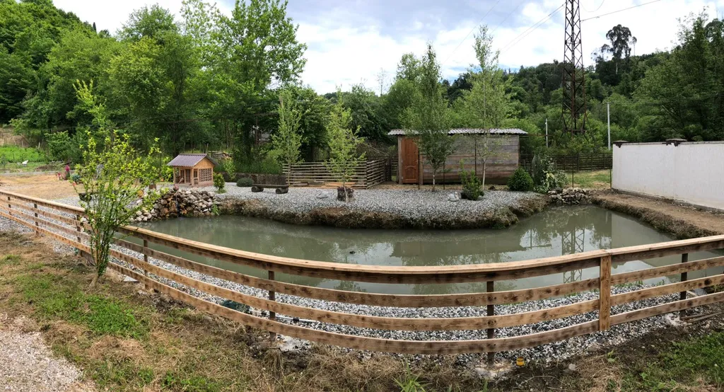 Коттедж Ольгинка — аренда посуточно в Гагра