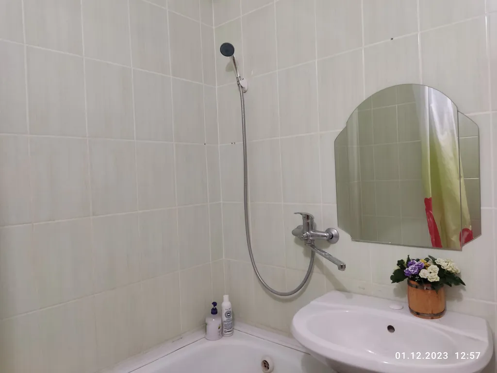 Апартаменты в гостях у Лилии