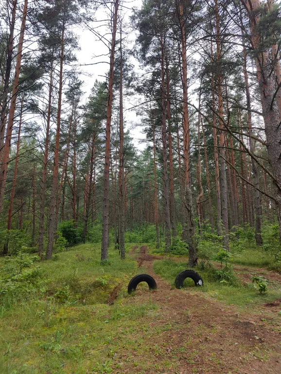 Гостевой дом между Лесом и Озером