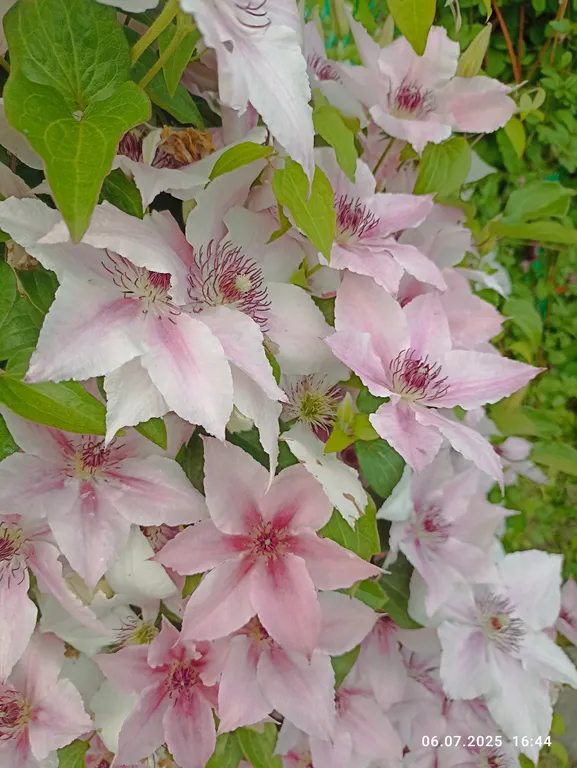 Просторный и уютный дом