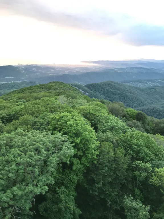 Квартира Делюкс комната с удобствами в лучшем районе Сириуса — Сириус