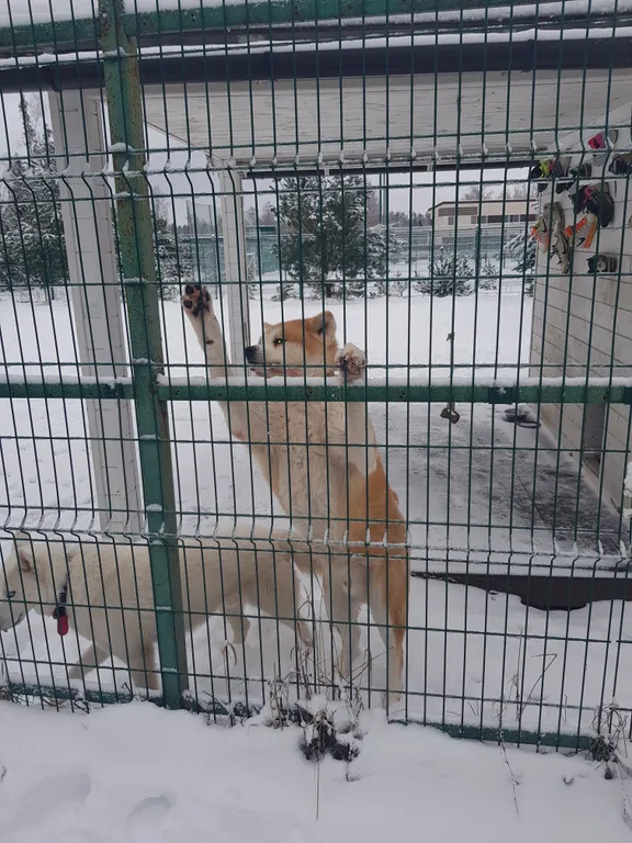 Sport Village в тихом и уютном месте