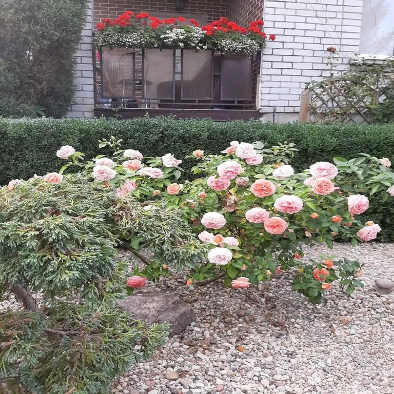 Привлекательный дом для отпуска