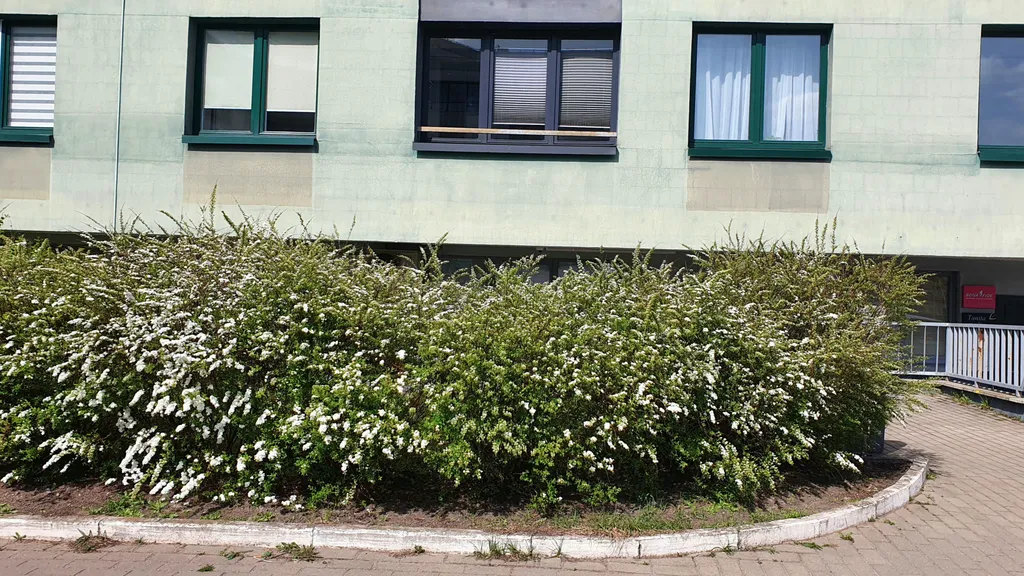 Уютная квартира недалеко от центра