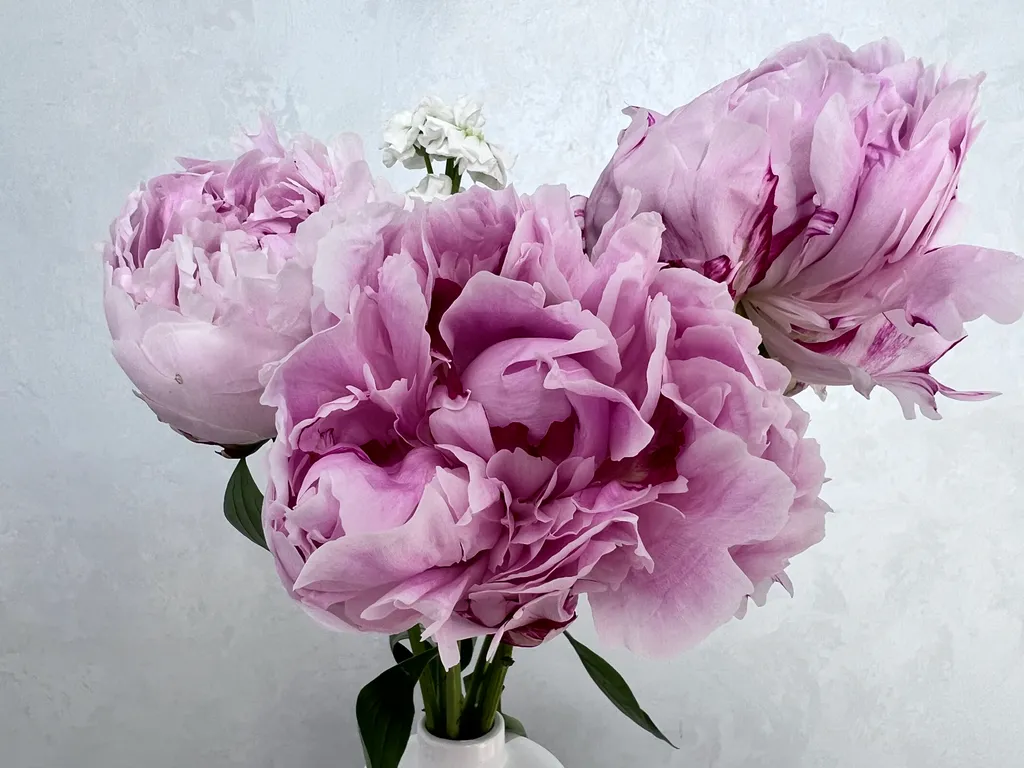 Смарт ТВ 58" супер ремонт, новый дом центр рядом