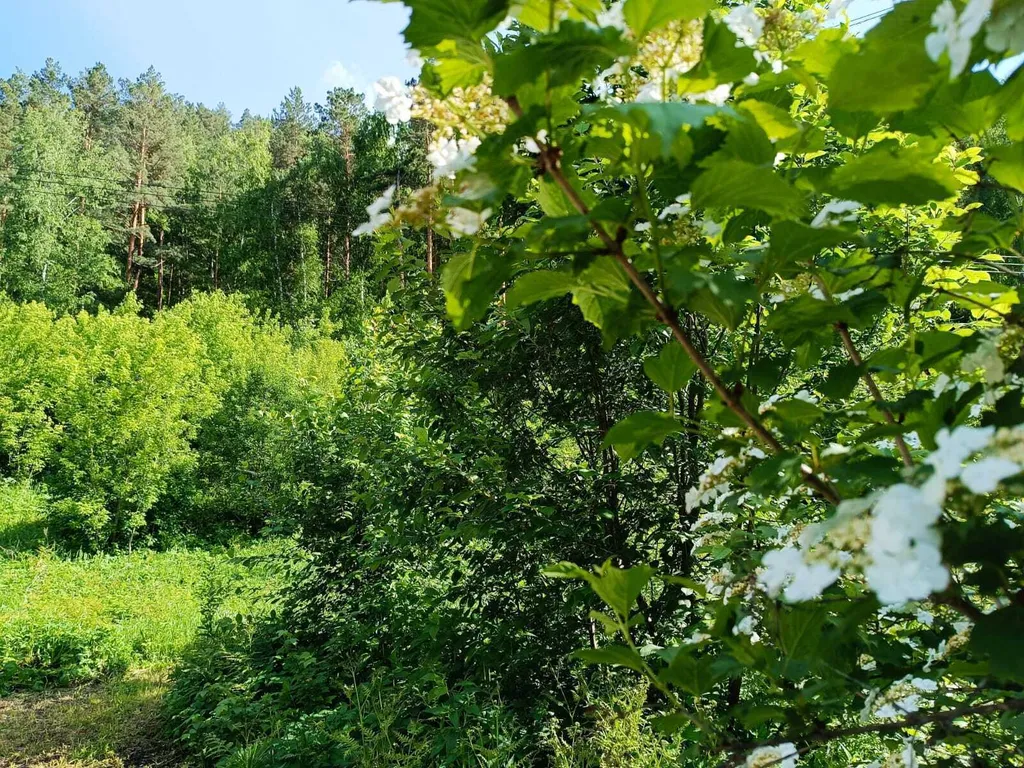 Дом Emirell Altai