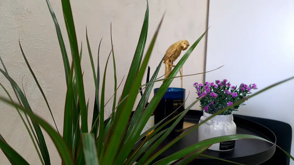 Солнечный берег