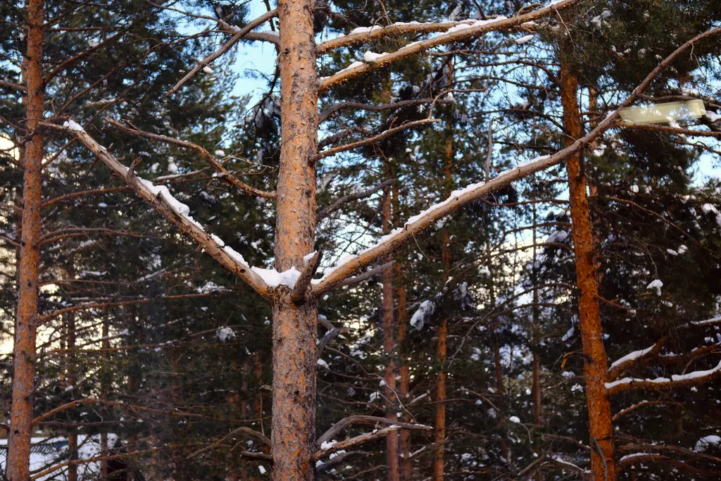 Студия с красивым видом
