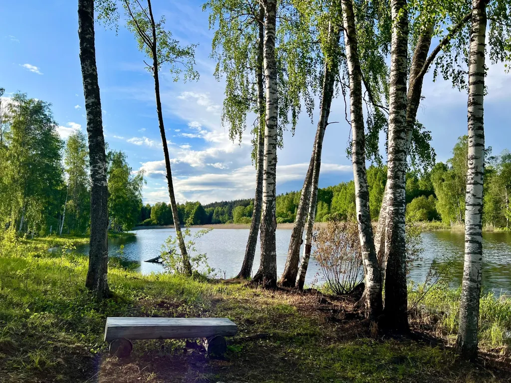 Дом N3 с сауной и камином  на берегу озера Лунное