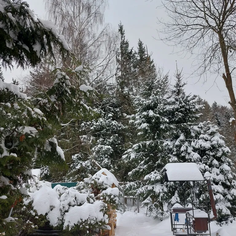 Новый год в Подмосковье. Идеальный дом с баней и чаном