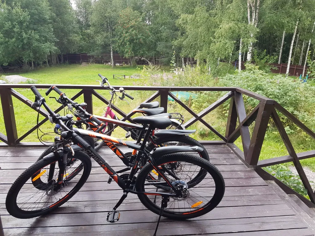 Коттедж Дом с камином, баней-сауной на дровах и купелью — Светлое