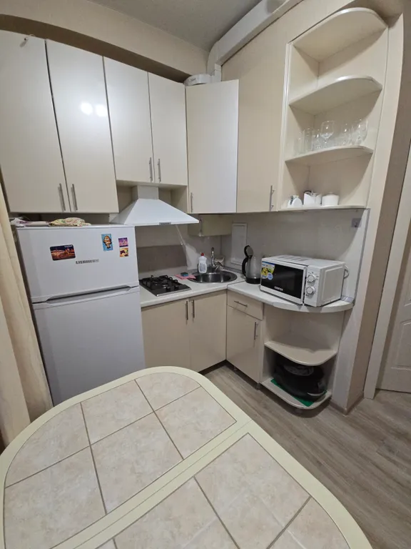 Квартира Уютная 1-комнатная квартира с отдельной кухней — Сириус