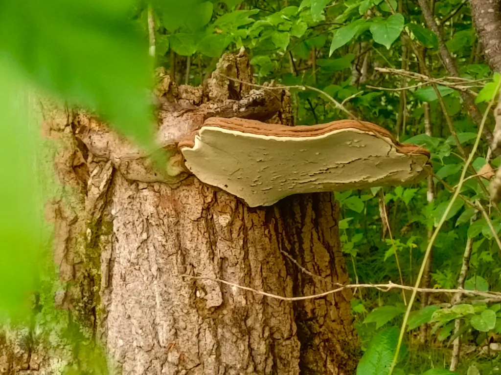 Особенная благостная квартира с удобным расположением на бульваре