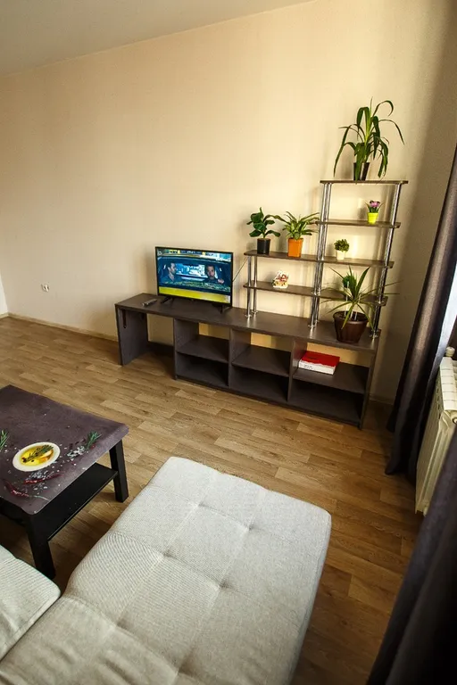 Квартира в 5 минутах пешком у центра нейрохирургии областной больницы